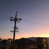ブログ